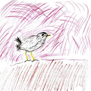 Bird - drawing by Harvey Dog 2019